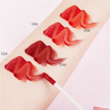 Lip Gloss Kit (4 Pieces)